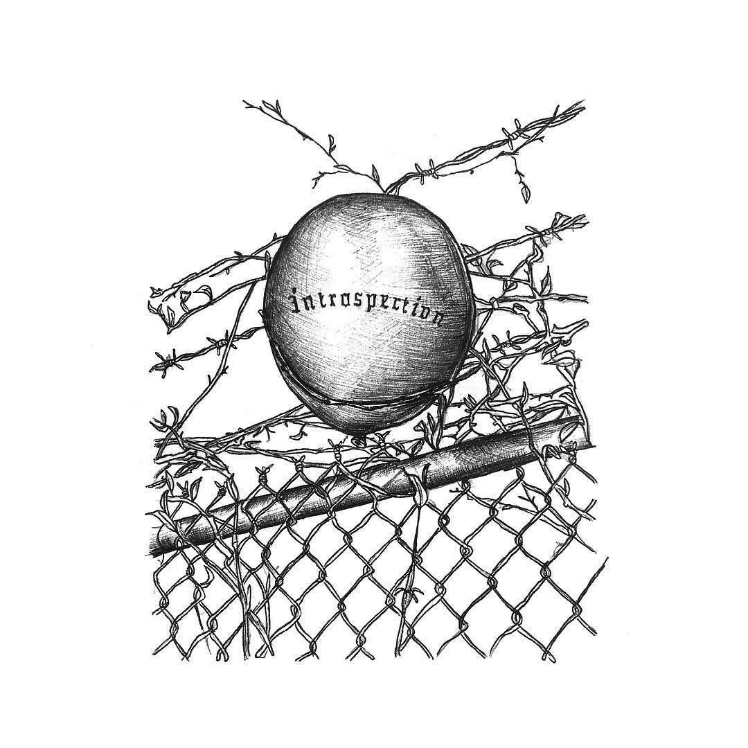 Media Image