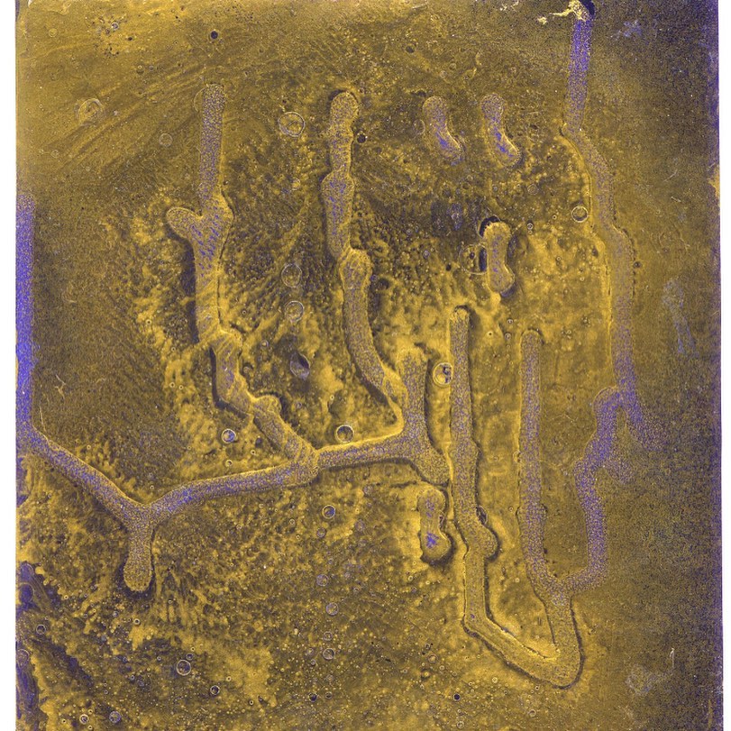 Media Image