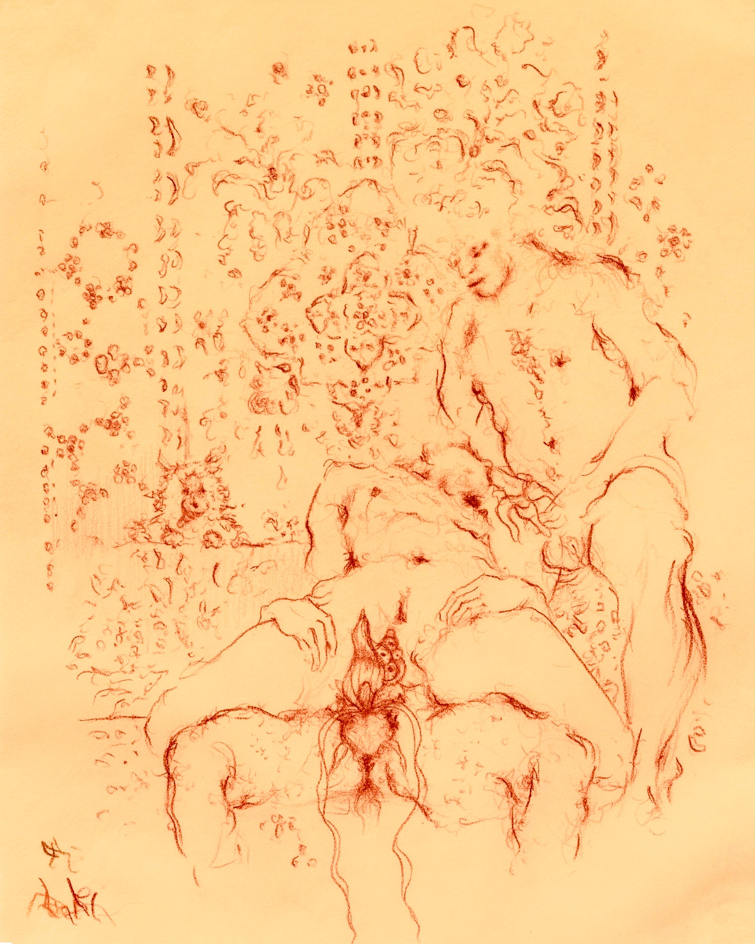 Media Image