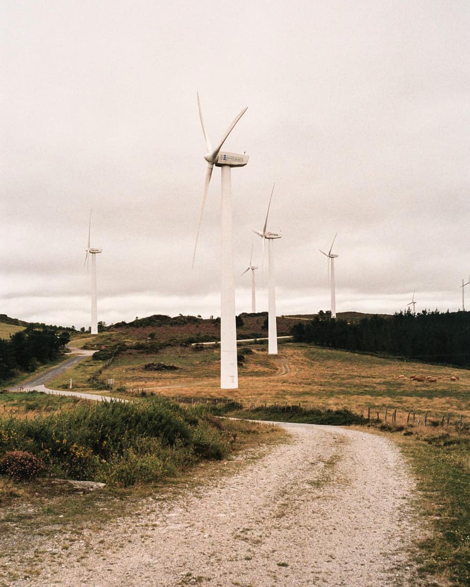 Media Image