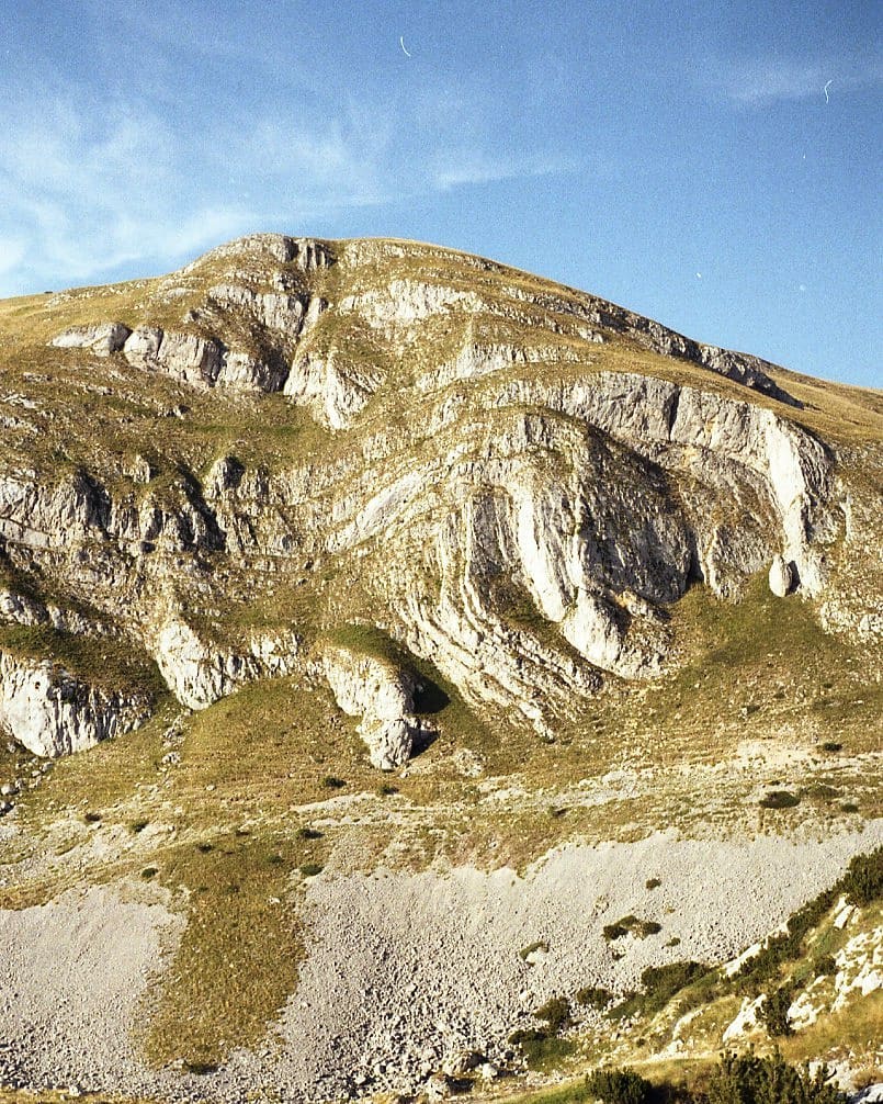 Media Image