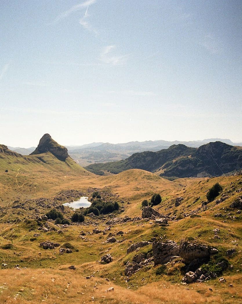 Media Image