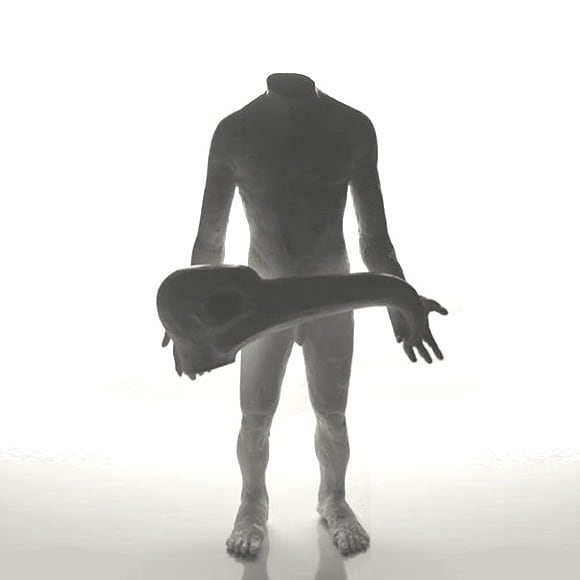 Media Image