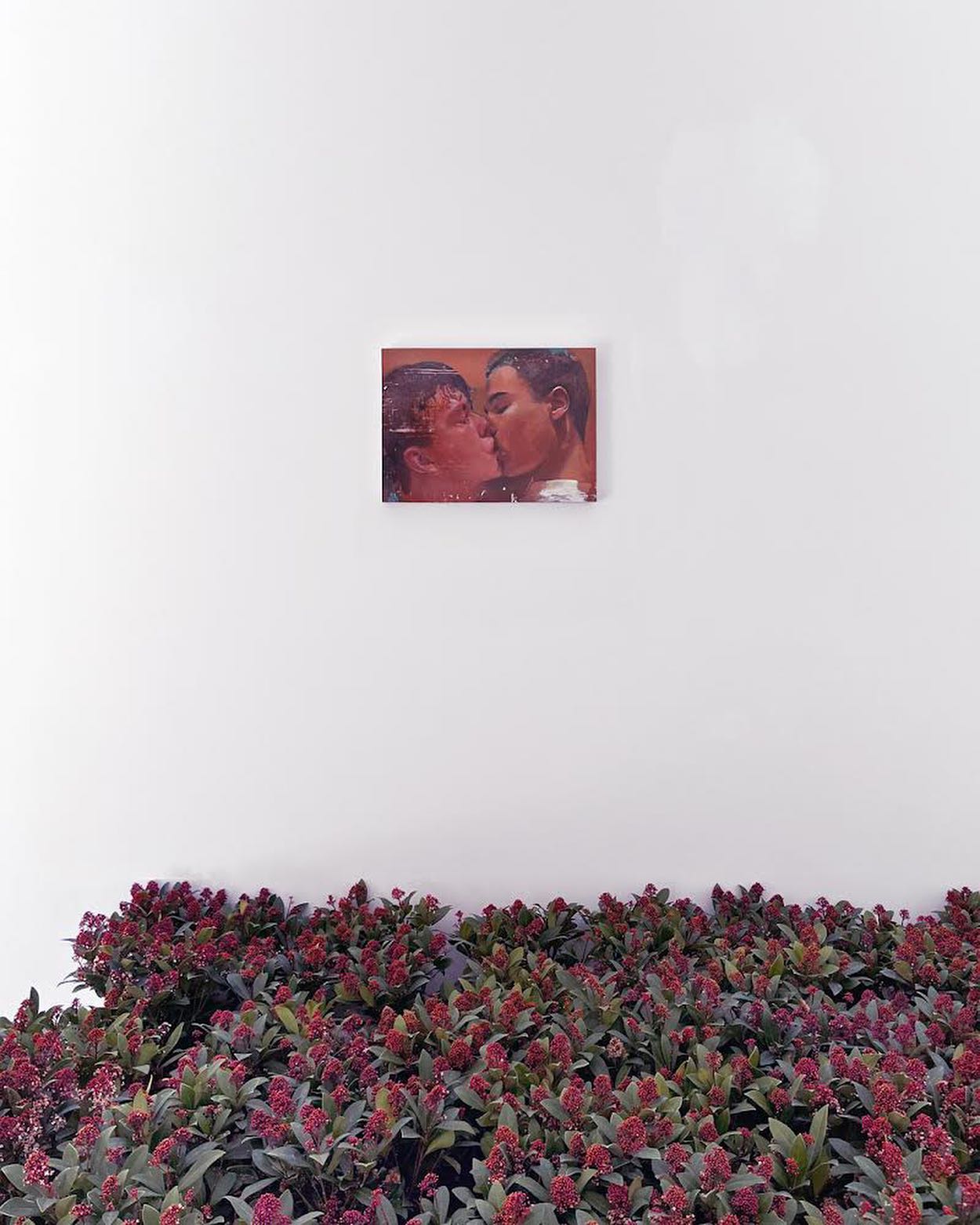 Media Image