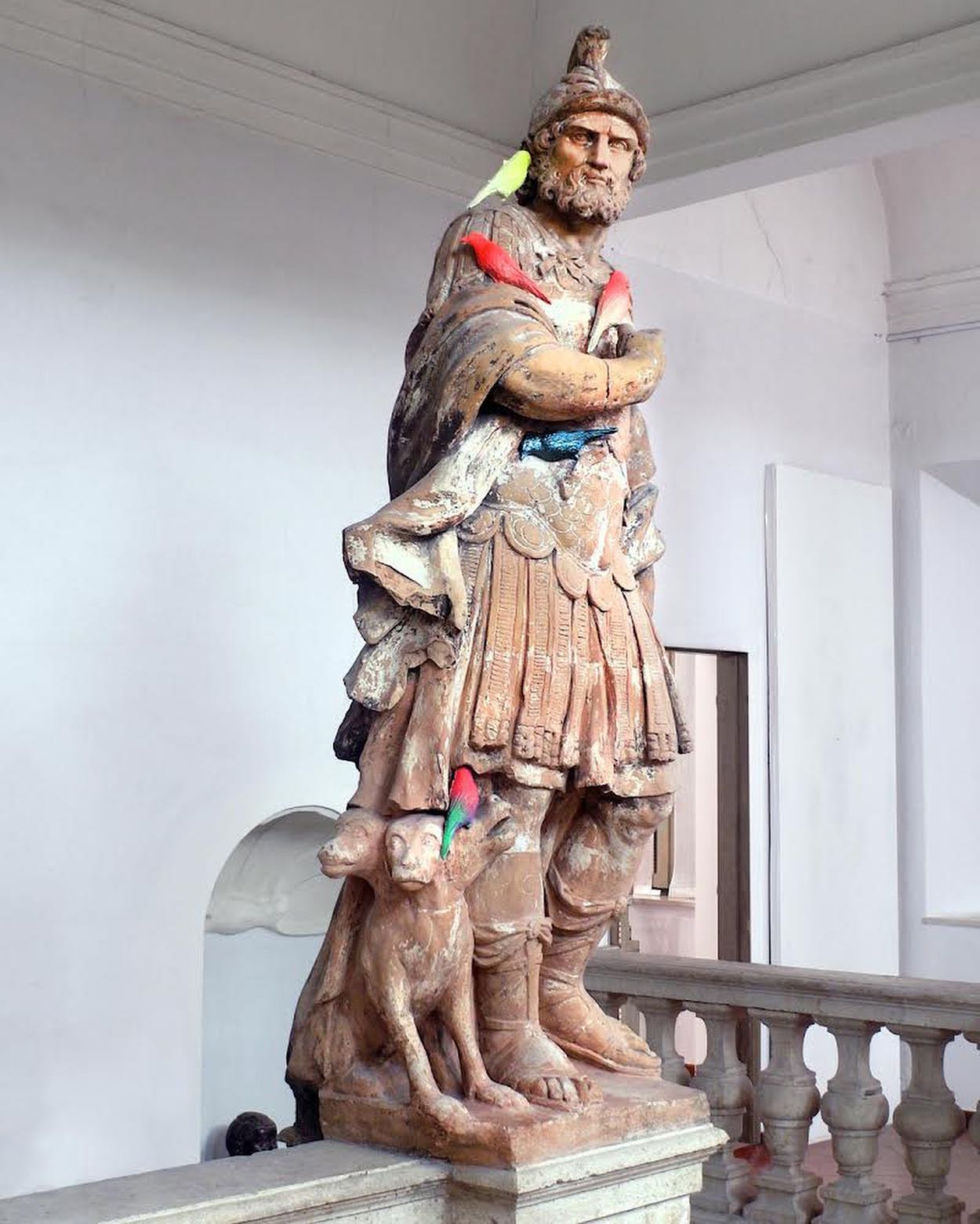 Media Image