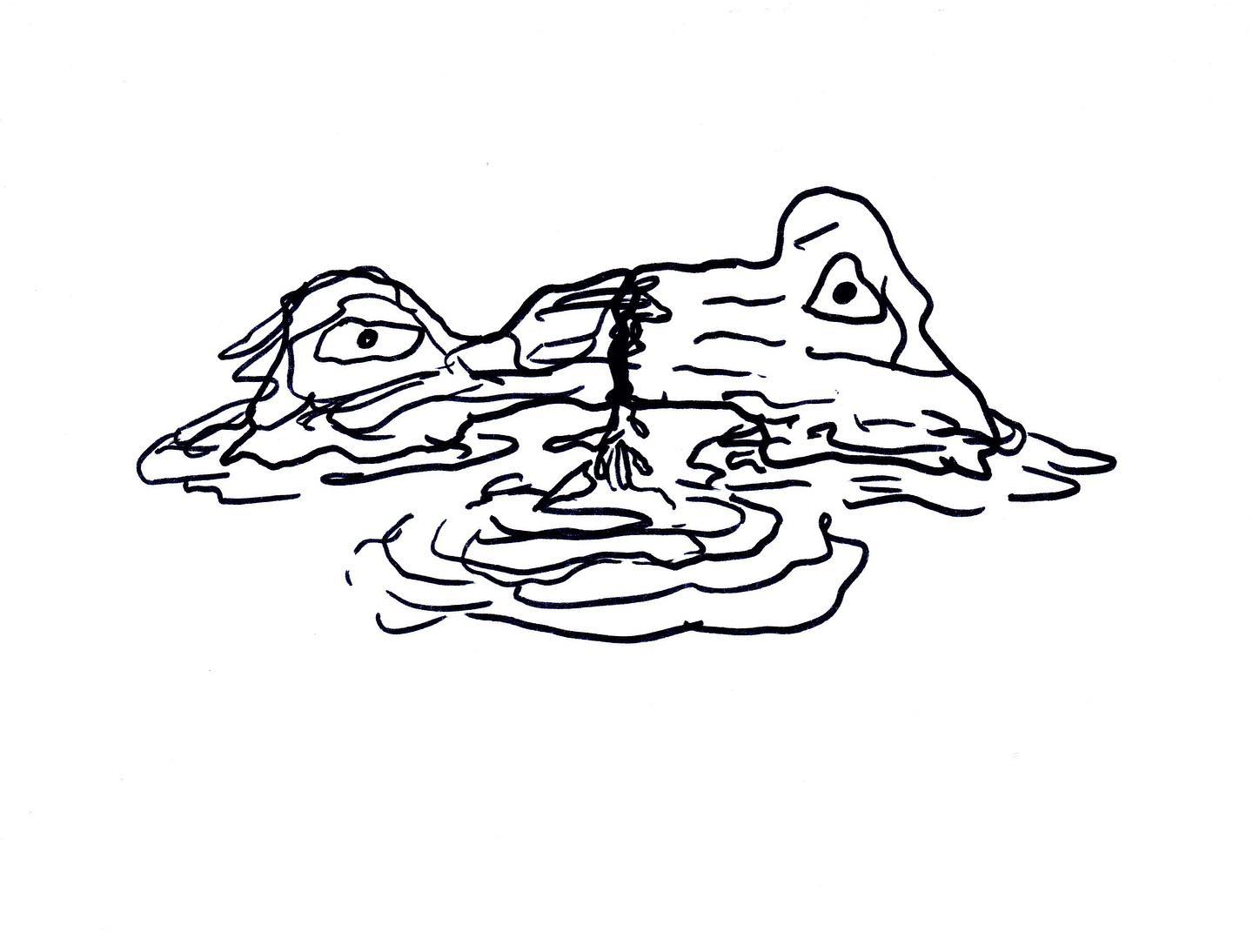 Media Image