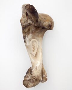 Federico Tosi_2542