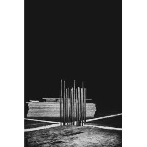 Francesco Merlini_298