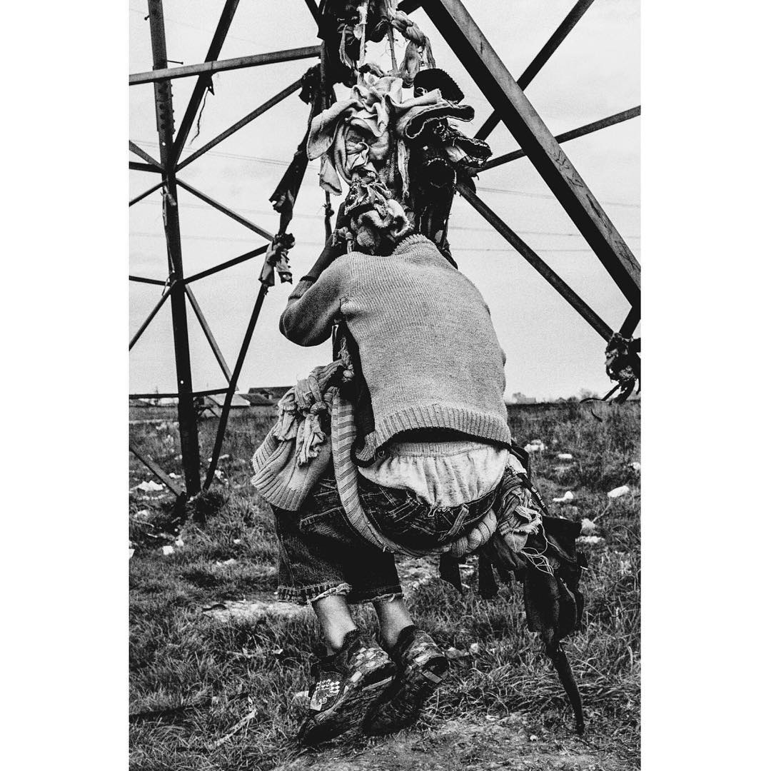Media Image