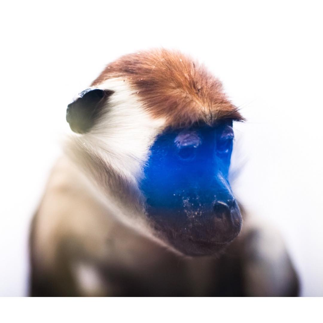 Media Image