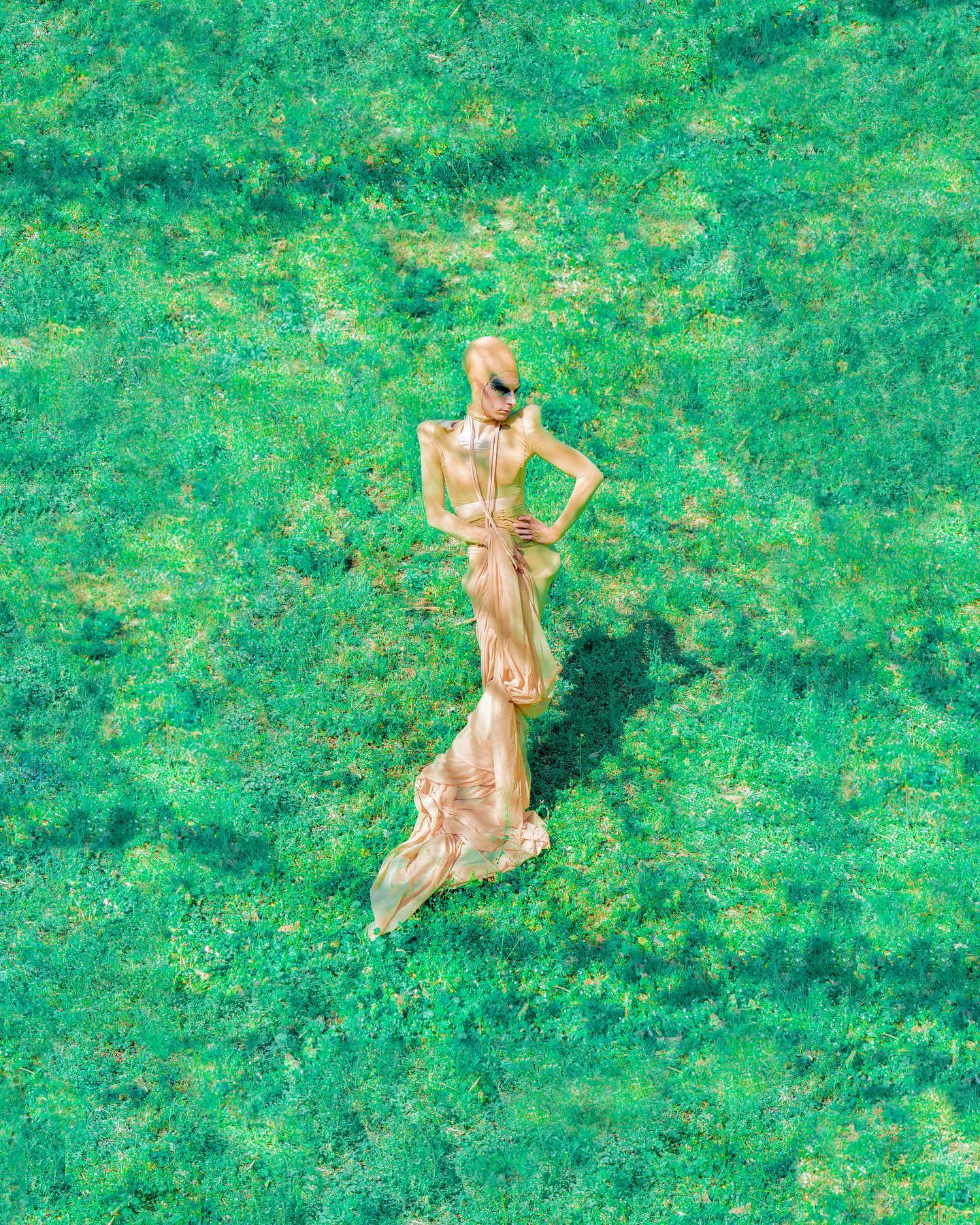 Media Image