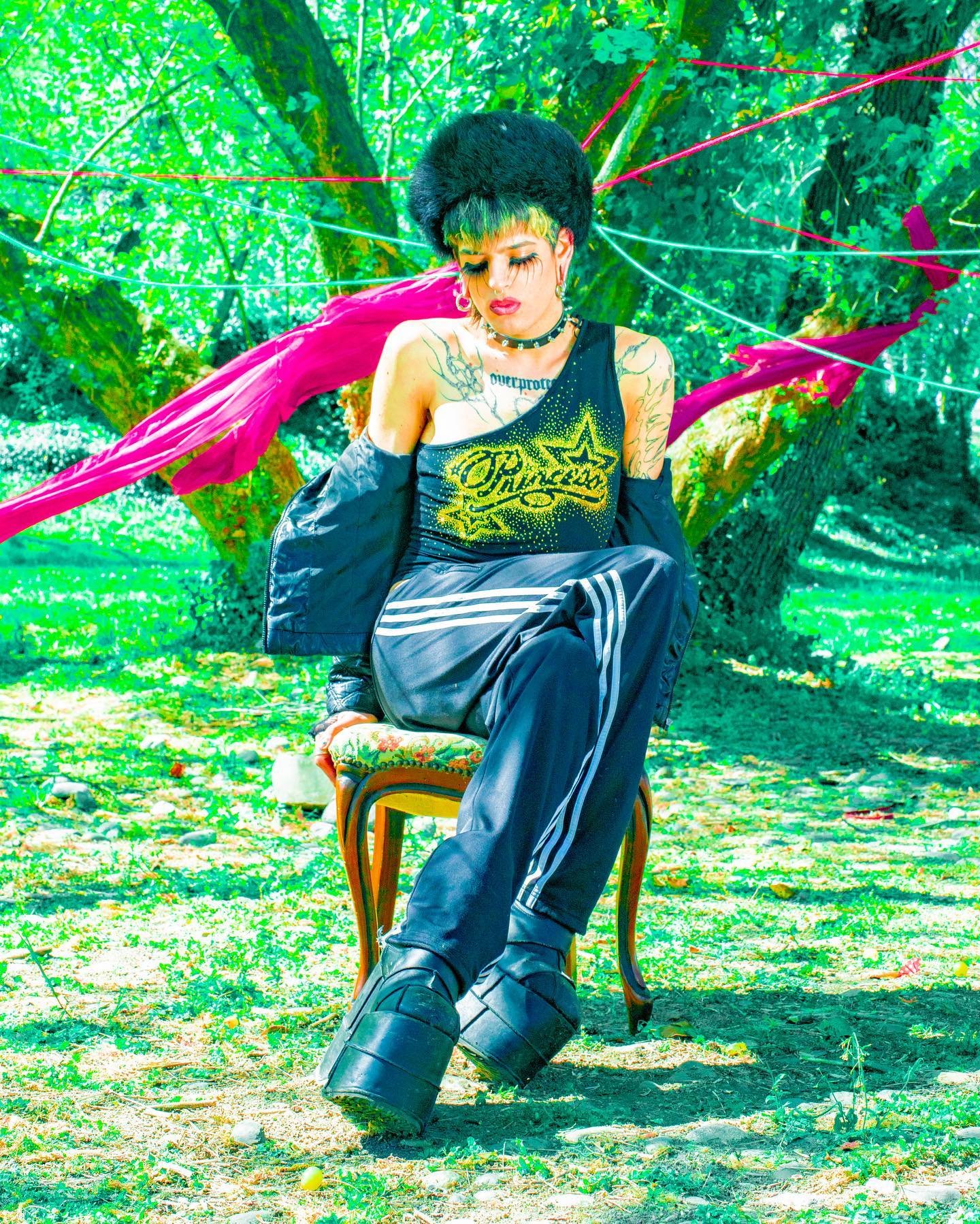 Media Image