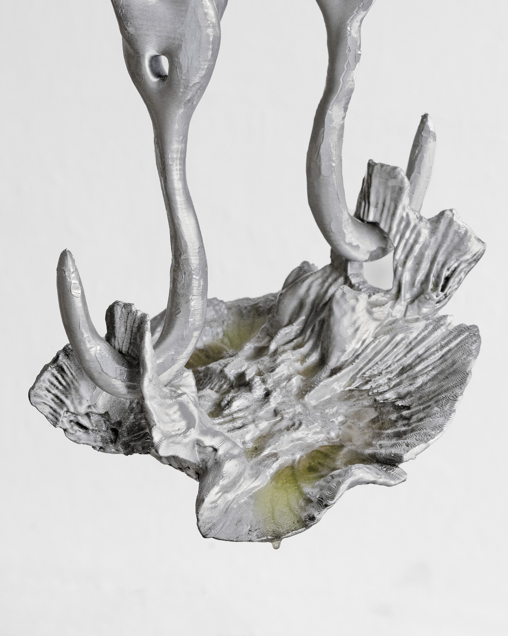 Media Image