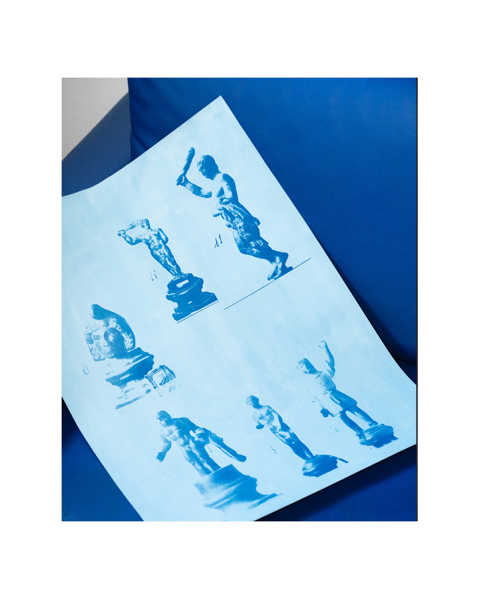 Media Image