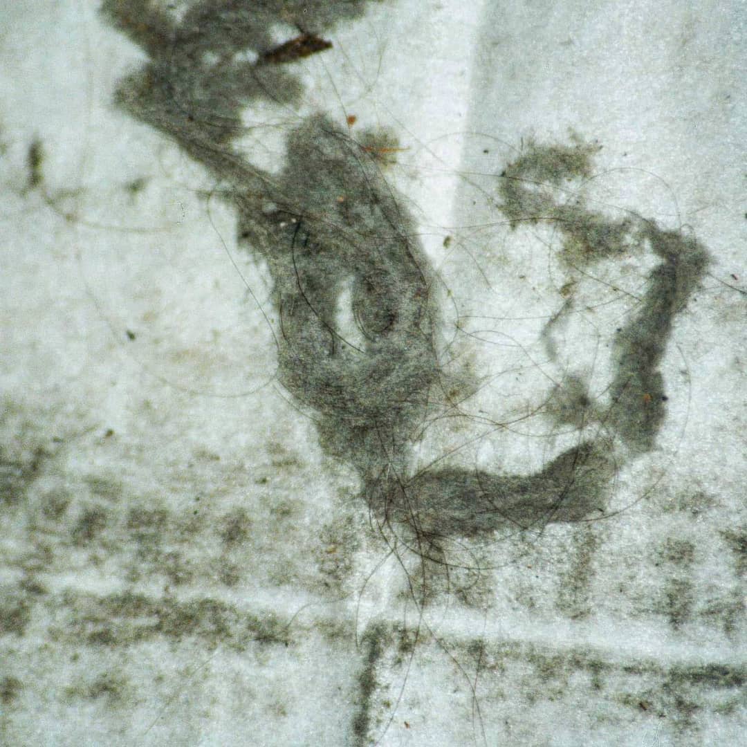 Media Image