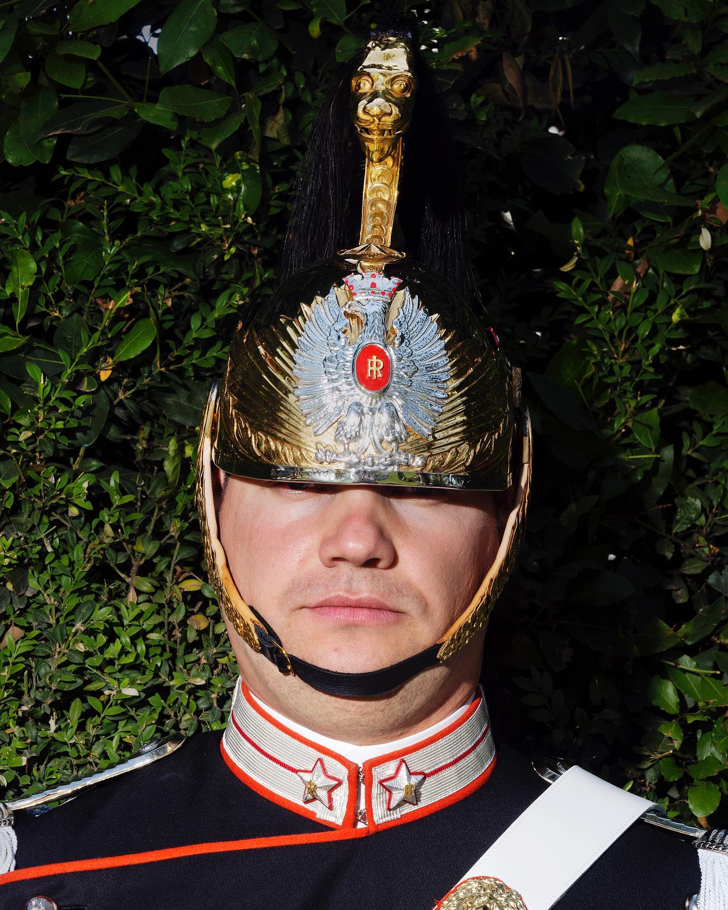 Media Image