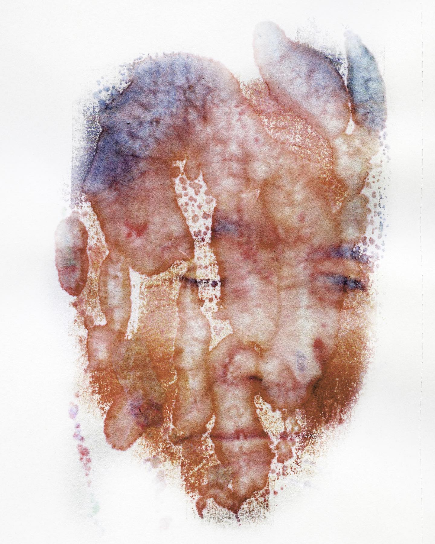 Media Image