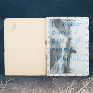 Mattia Angelini_777