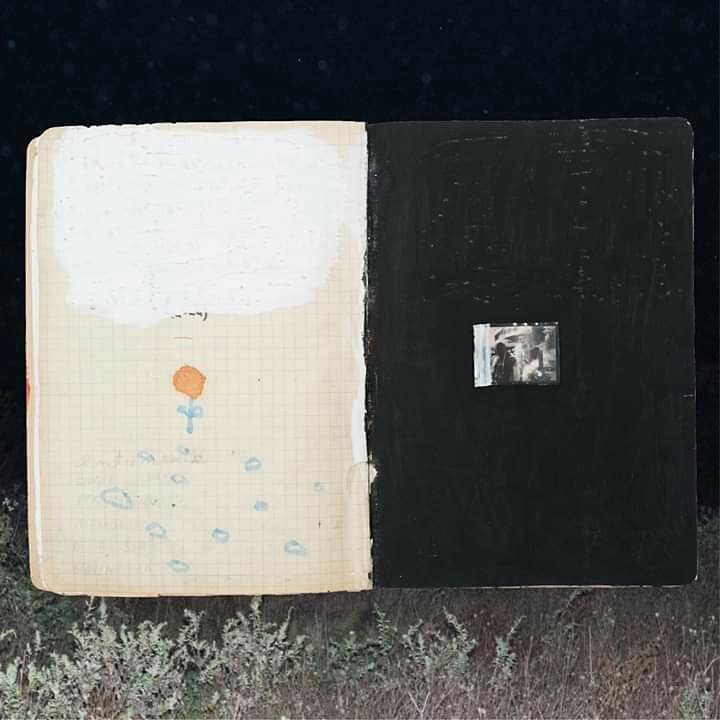 Media Image