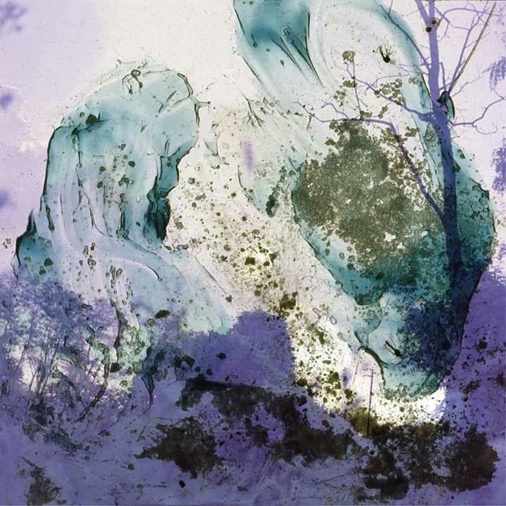 Media Image