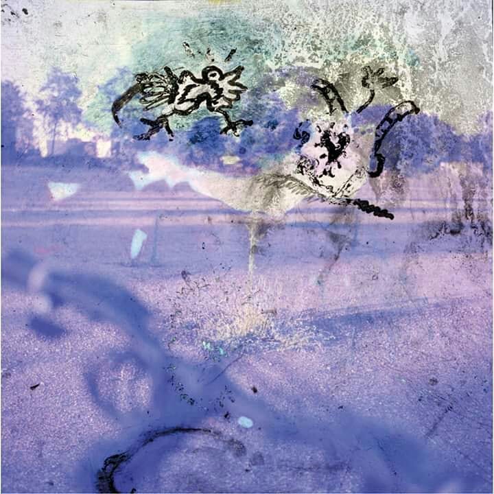 Media Image