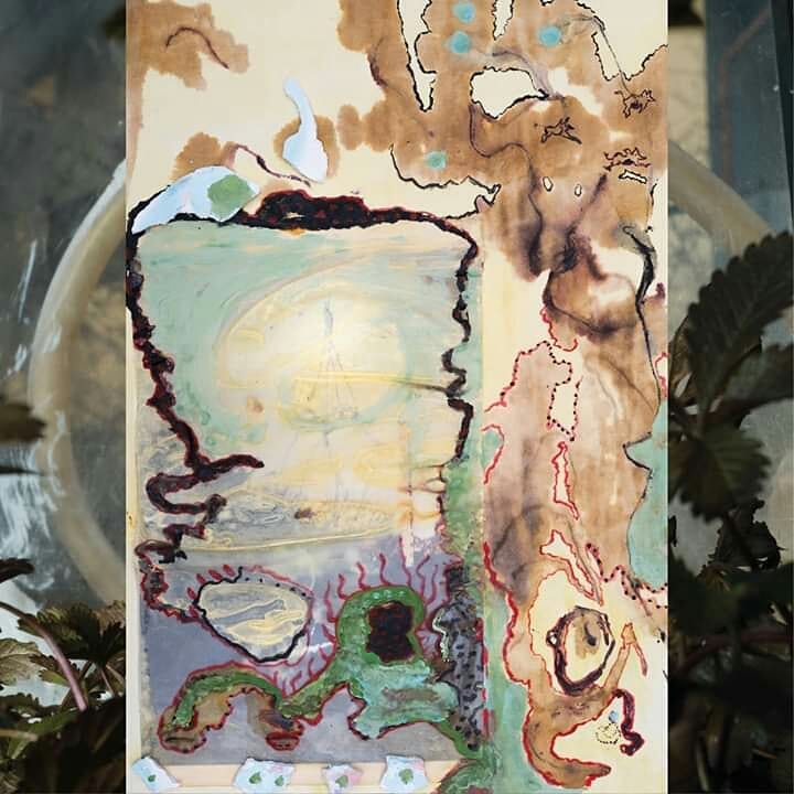 Media Image