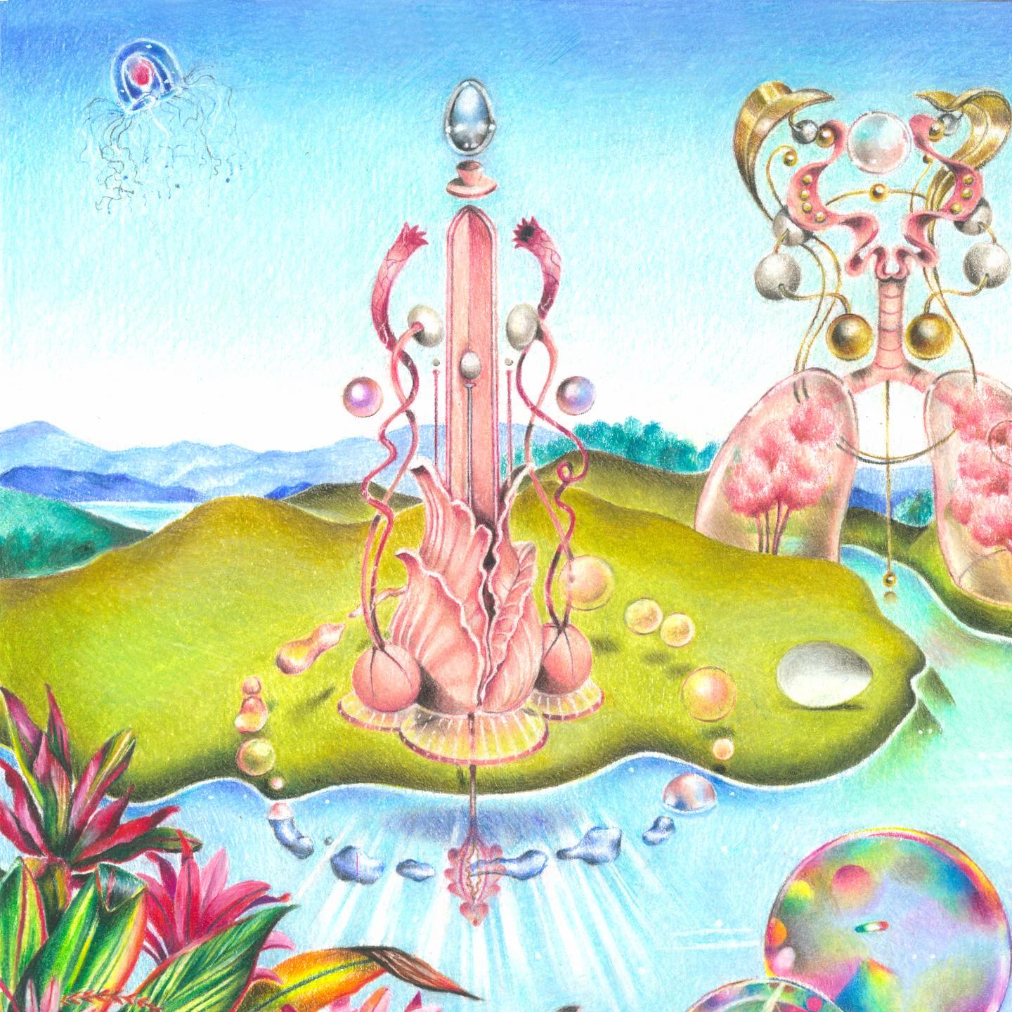 Media Image