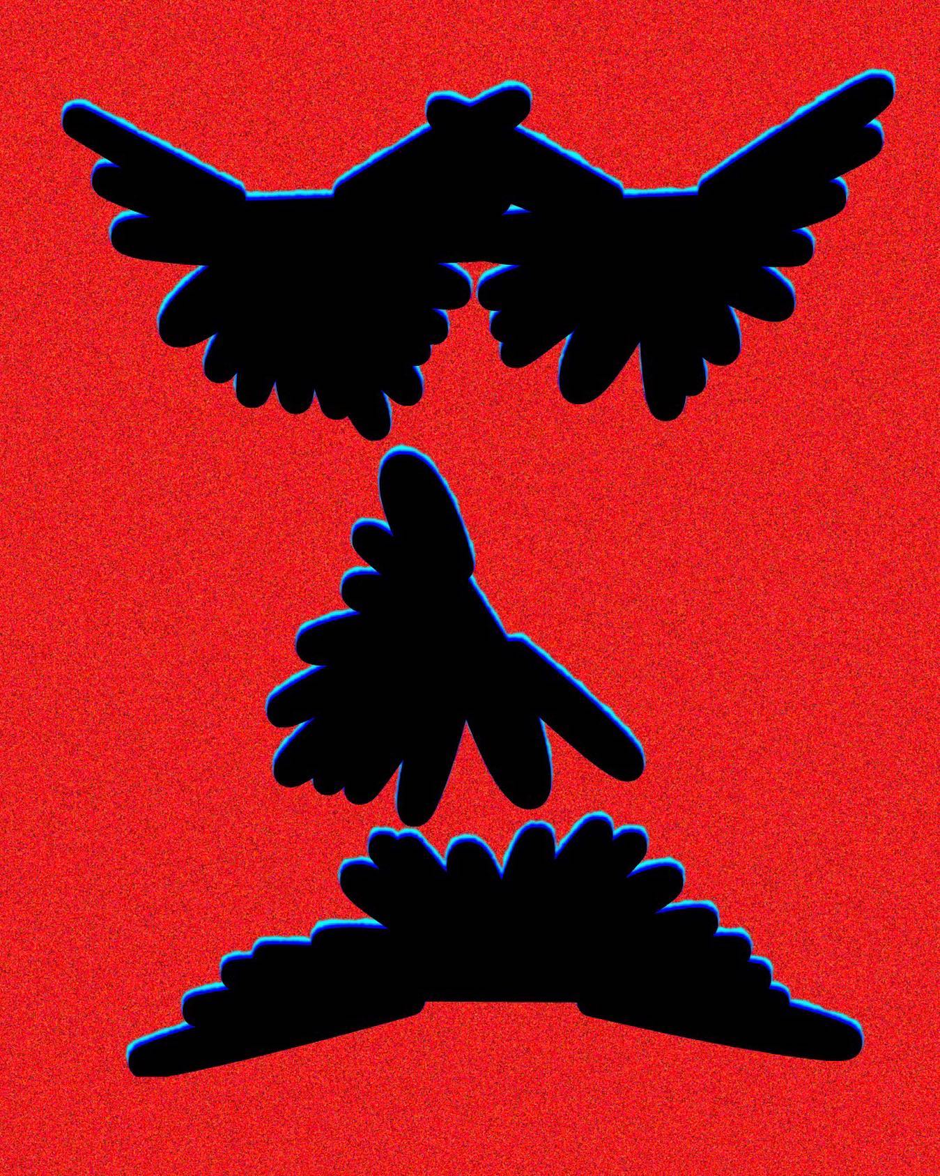 Media Image
