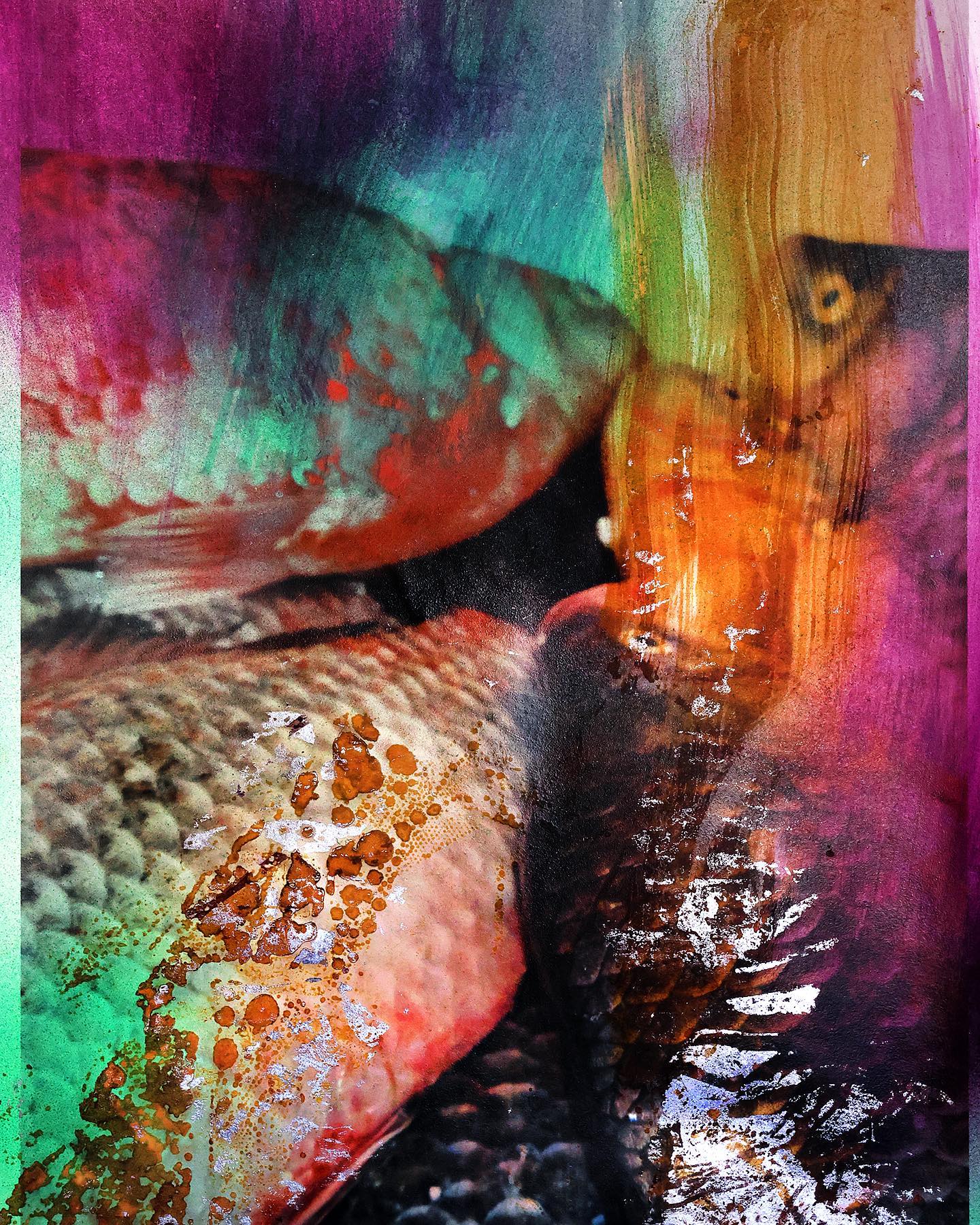 Media Image