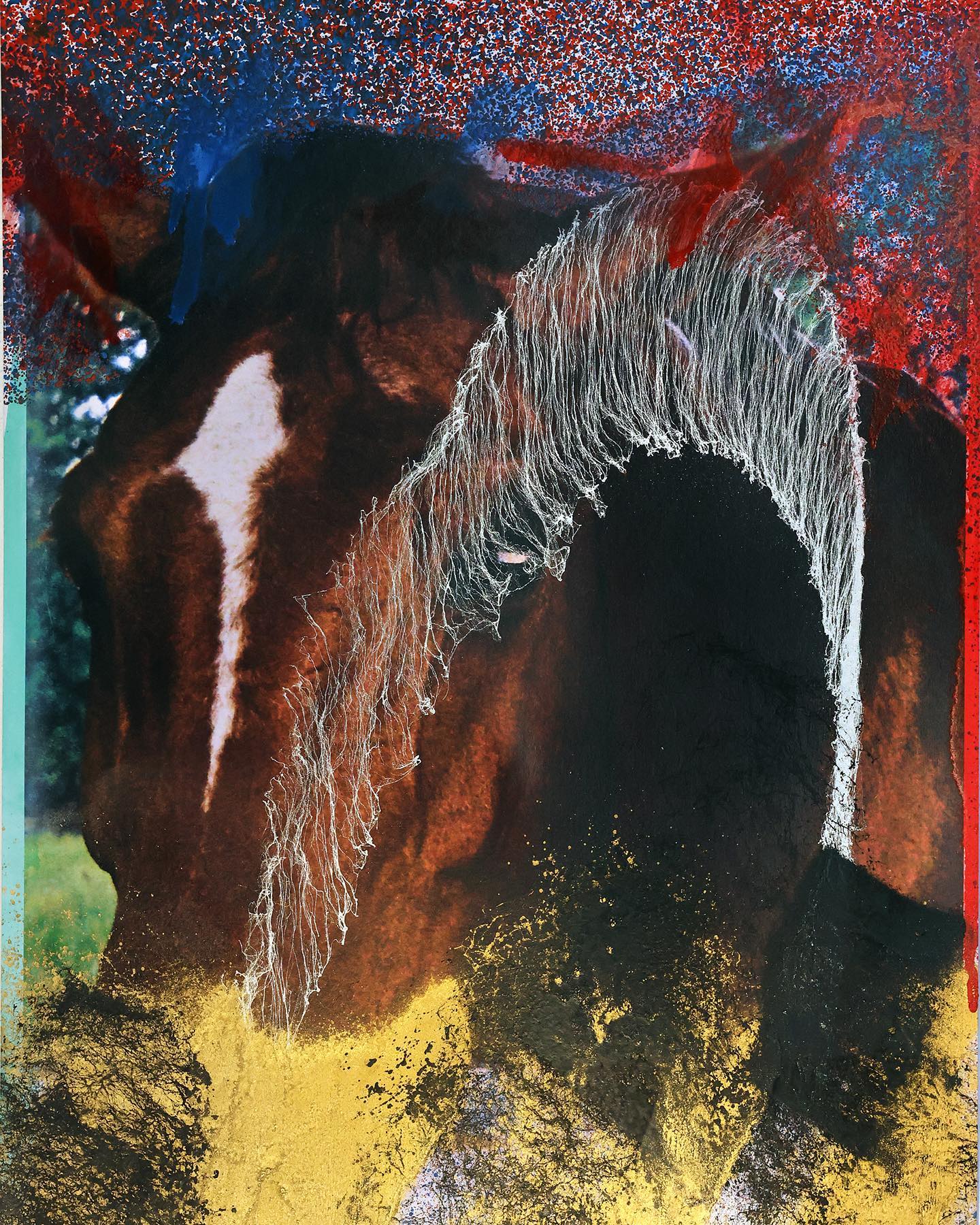 Media Image