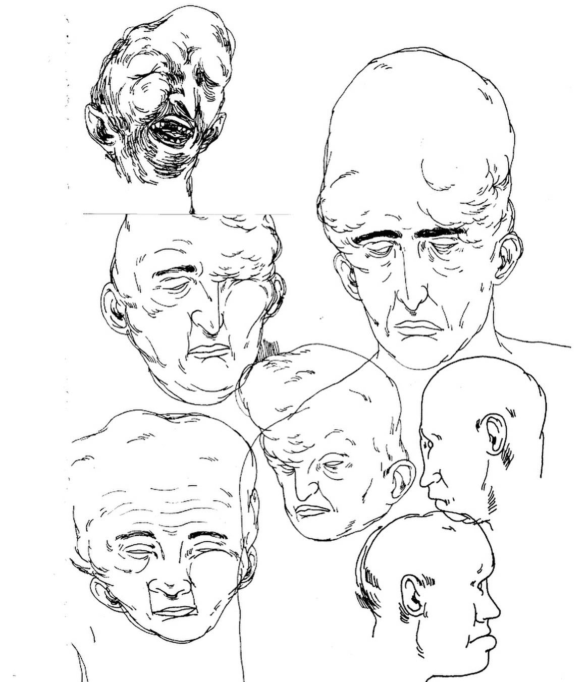 Media Image