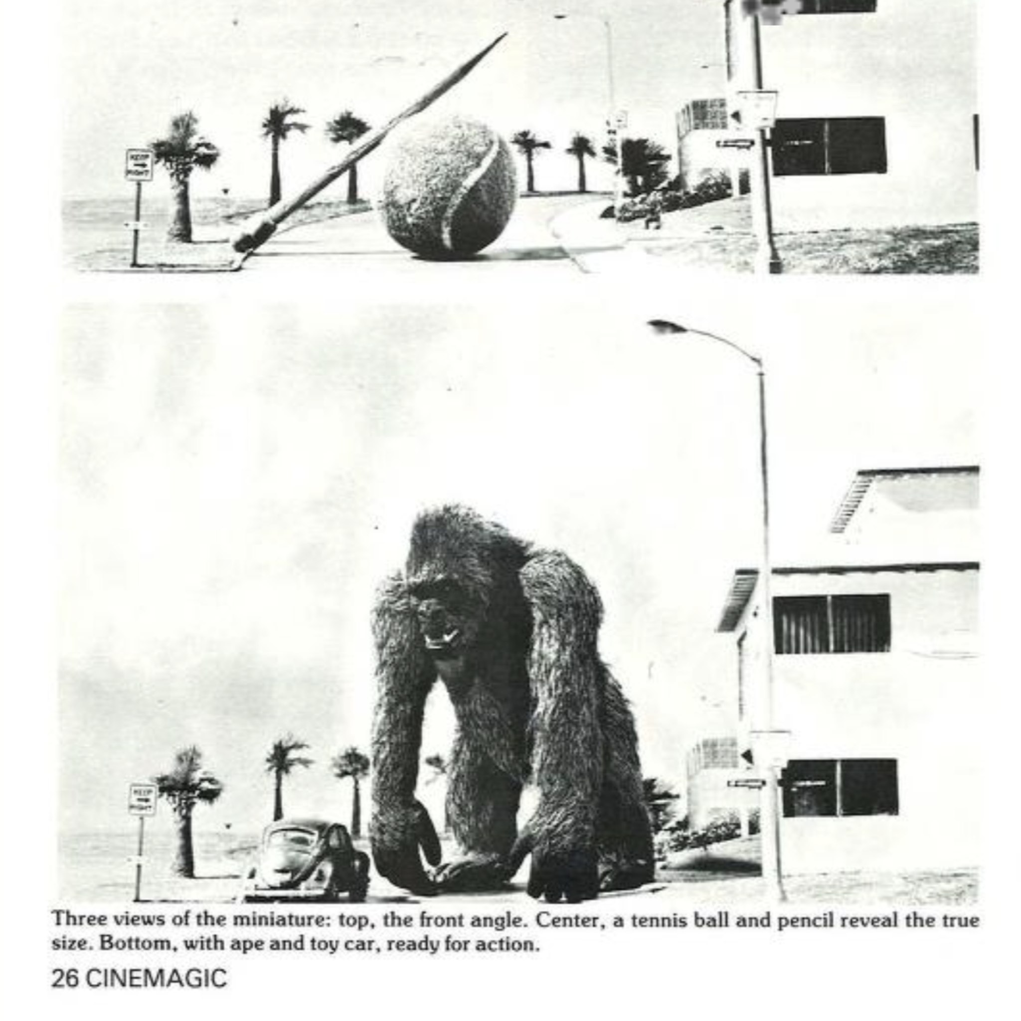 Media Image