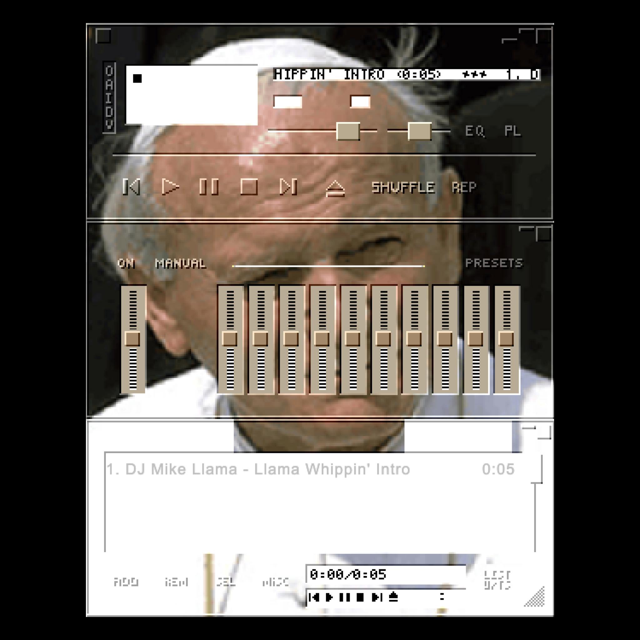 Media Image